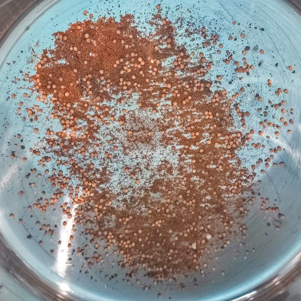 A close-up view of a metallic plate containing a mixture of tiny brown and beige granules scattered across a blue surface.